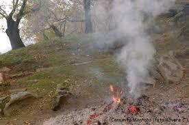 PROROGA della deroga al divieto di abbruciamento di materiale vegetale dal giorno 16 novembre 2025 al 30 novembre 2025